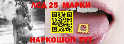 apvp Бийск