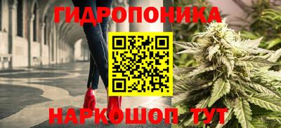 apvp Бийск