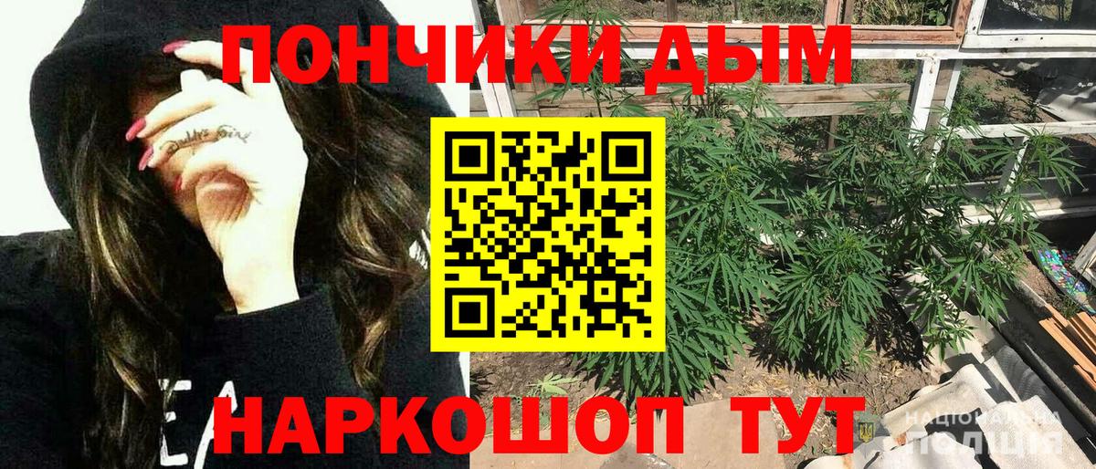 Шишки марихуана сатива  Бошки Шишки Bruce Banner  Вход с VPN  Волжский  Шишки марихуана Ganja 